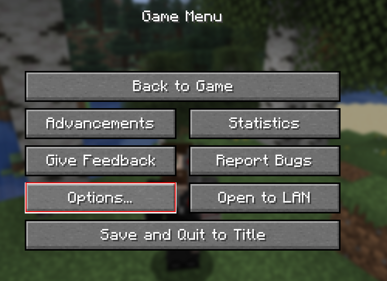 Minecraft Options